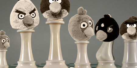 Lutter contre la Bird