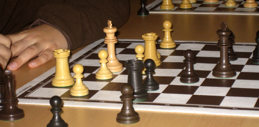 Le « petit journal du club » par Agathe